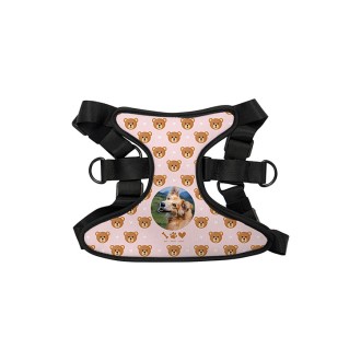 �Ƹ��� �ֿϵ��� �ϳ׽� M // Ǯ�÷� �μ� ����