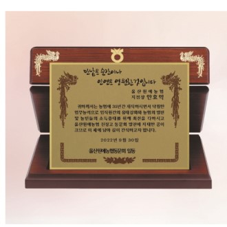 ���� ������ 25